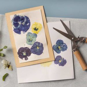 Żyj pięknie - Eco print z naturalnych kwiatów